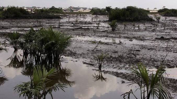 Image of the oil spill in the Niger Delta region of Nigeria.