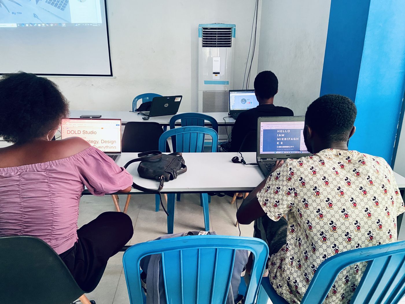 Fellows building websites on laptops